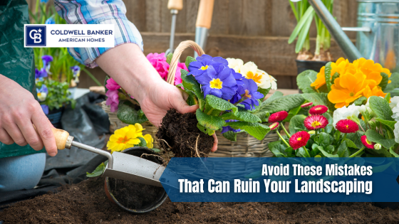 Great landscaping can be difficult to master. Here's how to avoid the rookie mistakes.